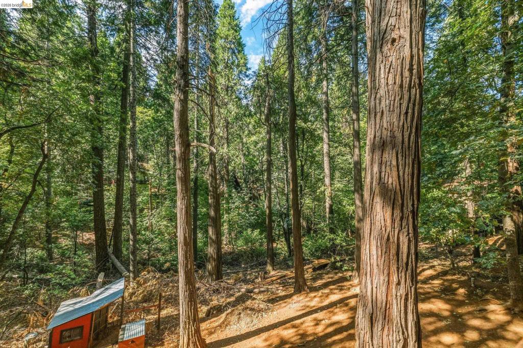16947 E Brookside Dr., Sonora, CA 95370