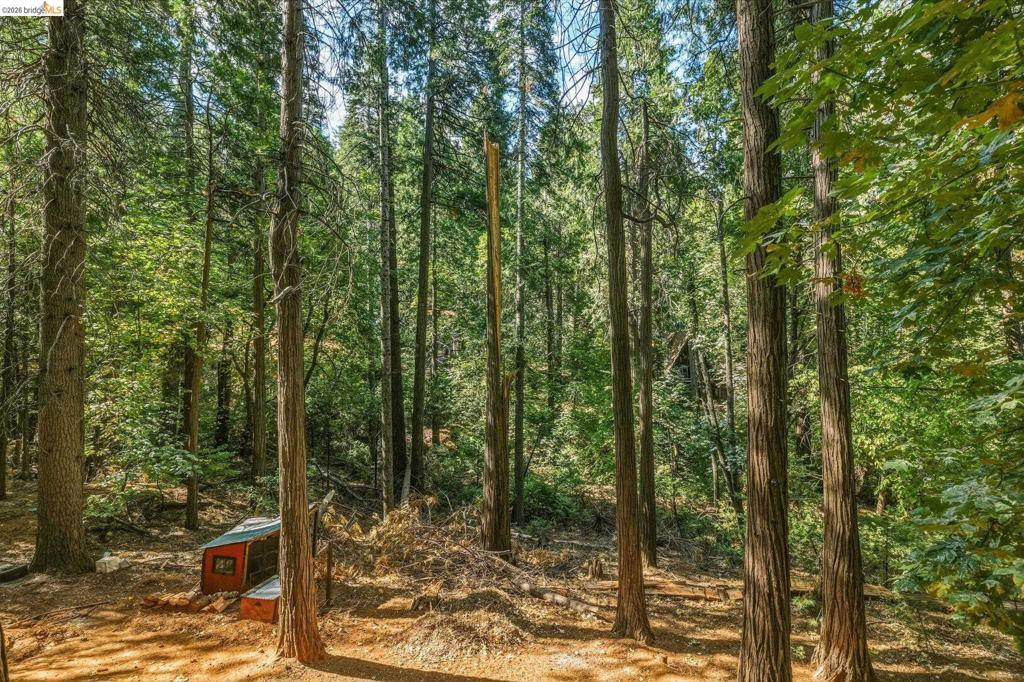 16947 E Brookside Dr., Sonora, CA 95370