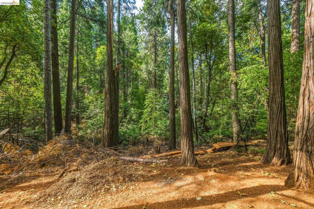 16947 E Brookside Dr., Sonora, CA 95370