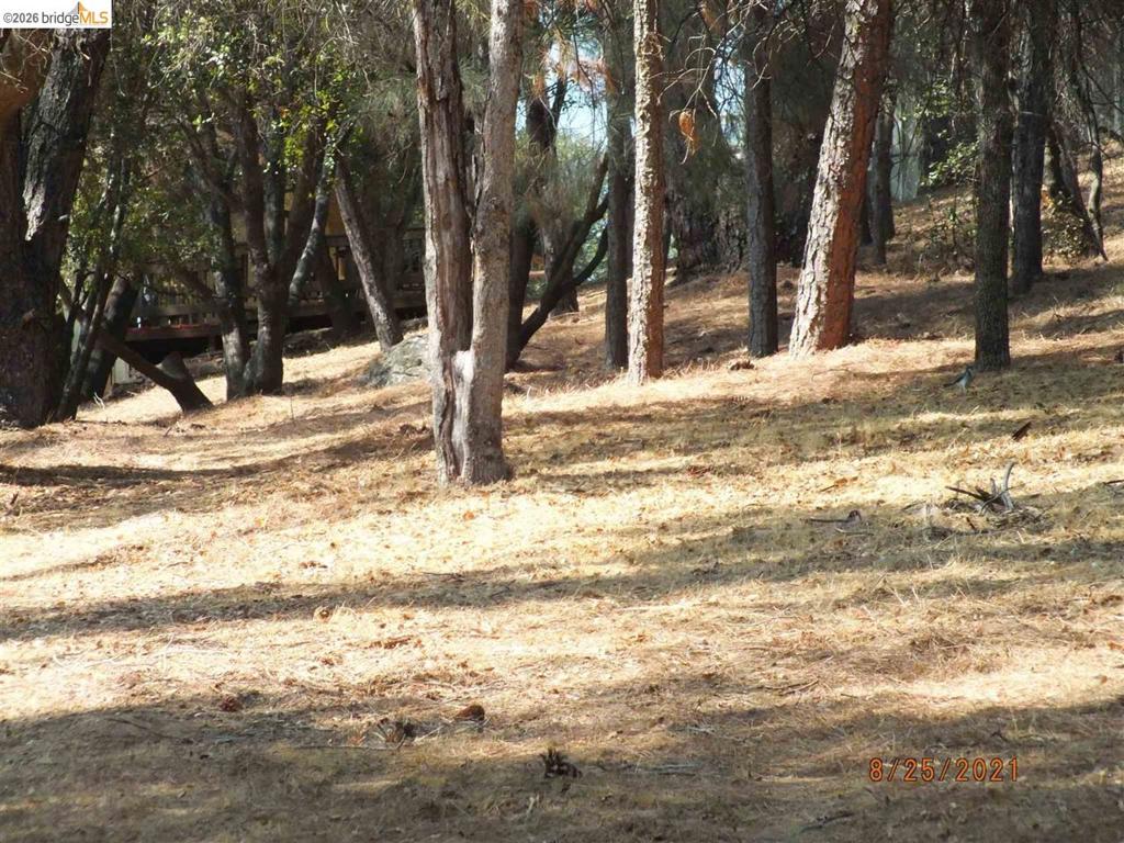 20650 Crescent Way, Groveland, CA 95321
