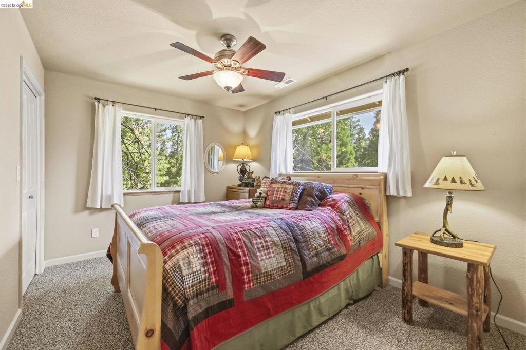 29392 Alpine Dr, Cold Springs, CA 95335