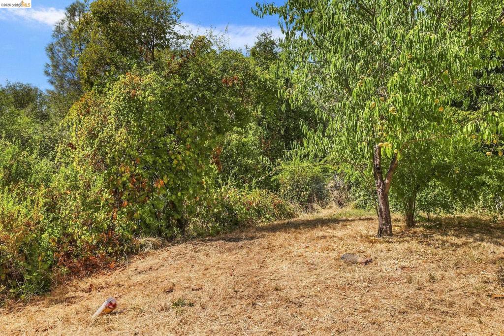 18948 North Drive, Jamestown, CA 95327