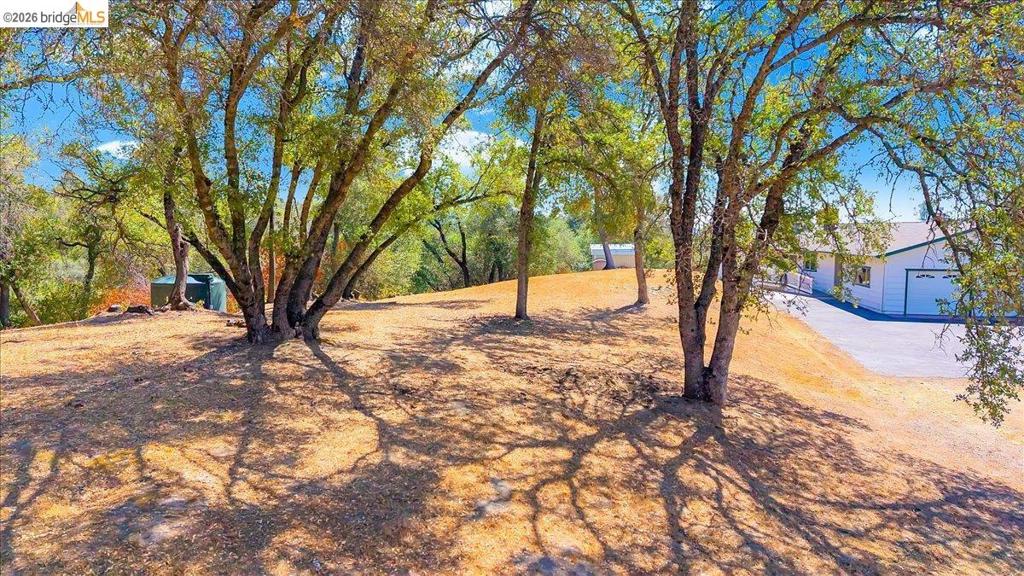 9790 O Neil Ct, Jamestown, CA 95327