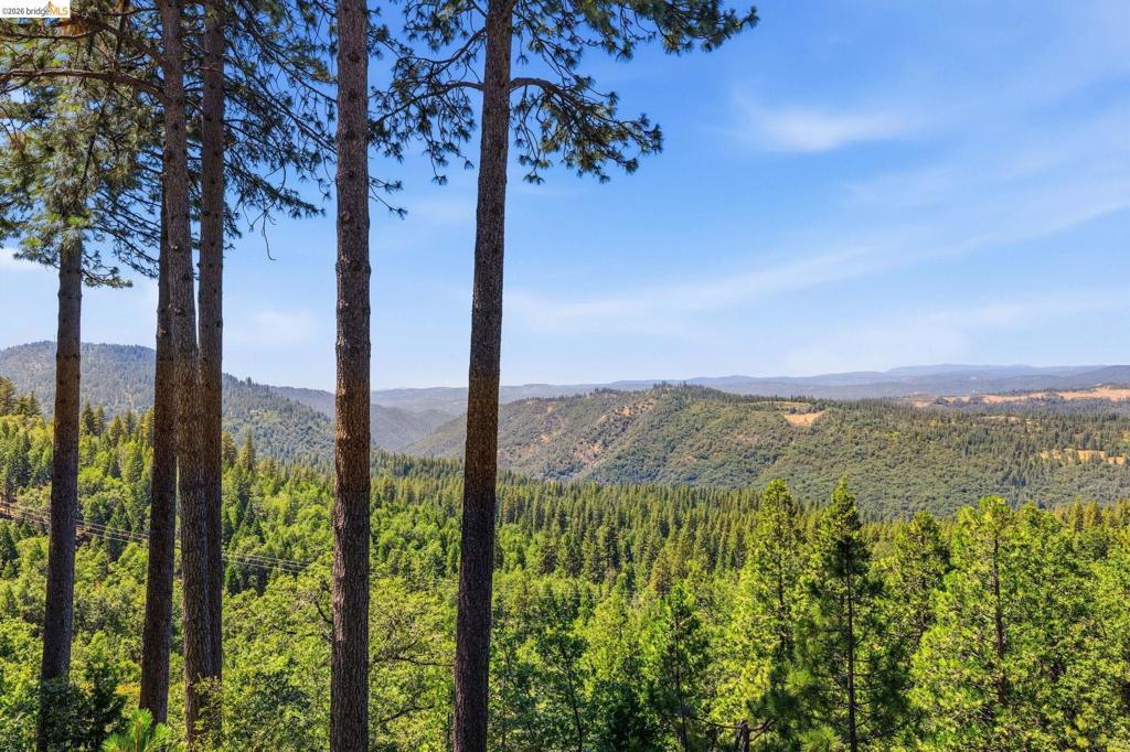 19922 Middle Camp Sugarpine RD, Twain Harte, CA 95383