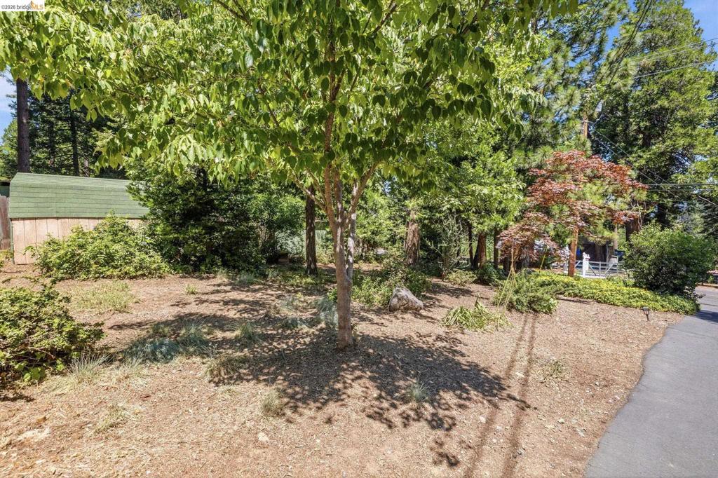 19922 Middle Camp Sugarpine RD, Twain Harte, CA 95383