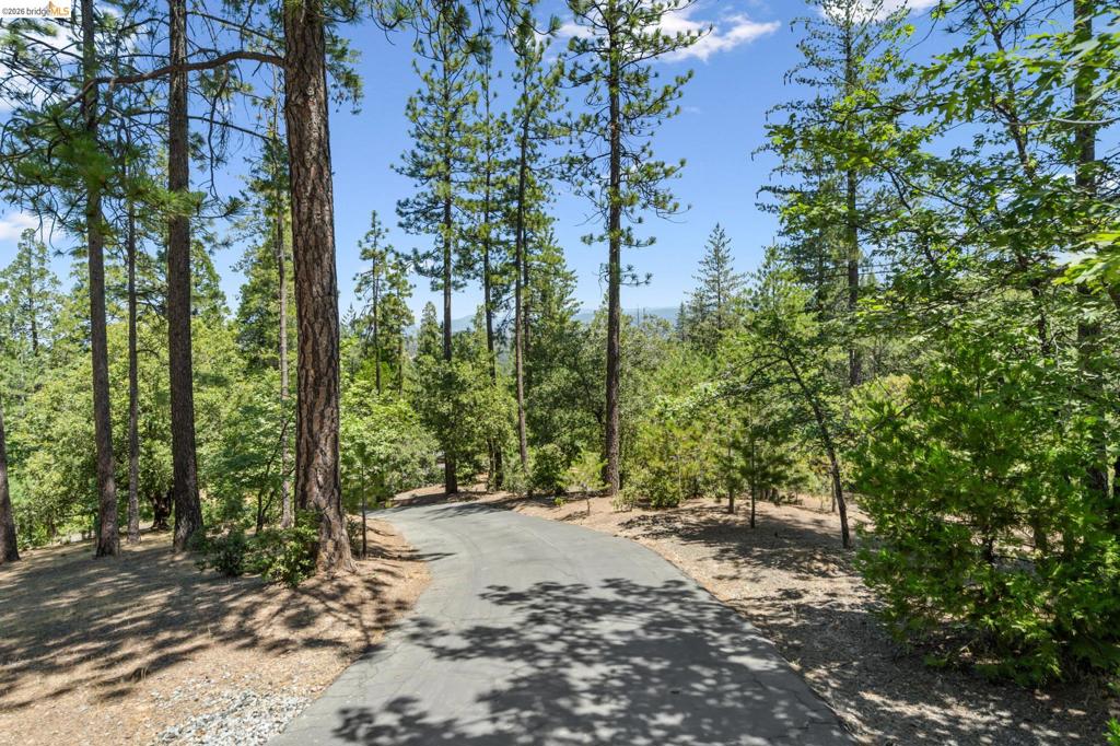 11335 Bridal Veil, Groveland, CA 95321-0000