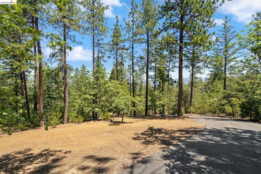 11335 Bridal Veil, Groveland, CA 95321-0000