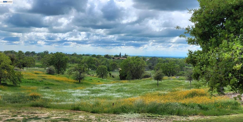 34310 Barn Owl Rd, Raymond, CA 93653