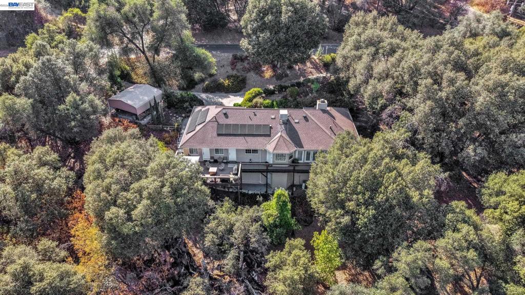 39309 Forest Park Ln, Oakhurst, CA 93644