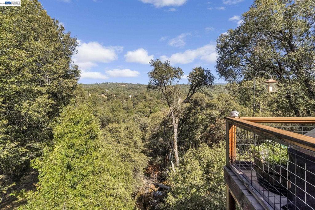39309 Forest Park Ln, Oakhurst, CA 93644