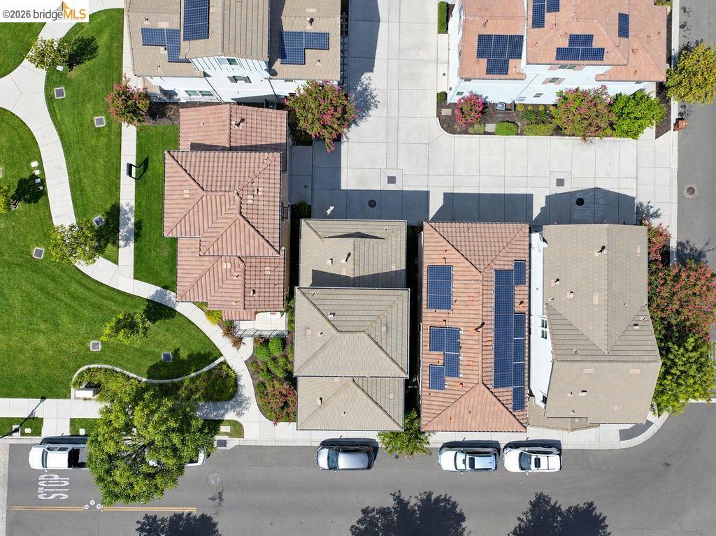 806 Queen Palm Ln, Brentwood (CC), CA 94513