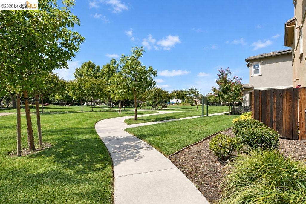 806 Queen Palm Ln, Brentwood (CC), CA 94513