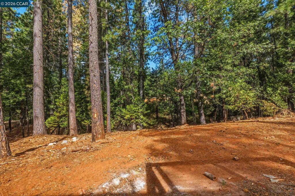 16764 Estralita Dr, Sonora, CA 95370