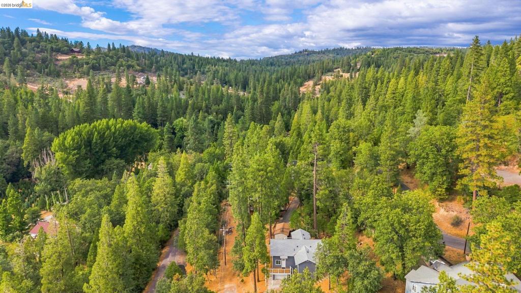 21837 Cedar Springs Rd, Twain Harte, CA 95383