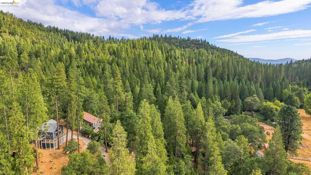 21837 Cedar Springs Rd, Twain Harte, CA 95383