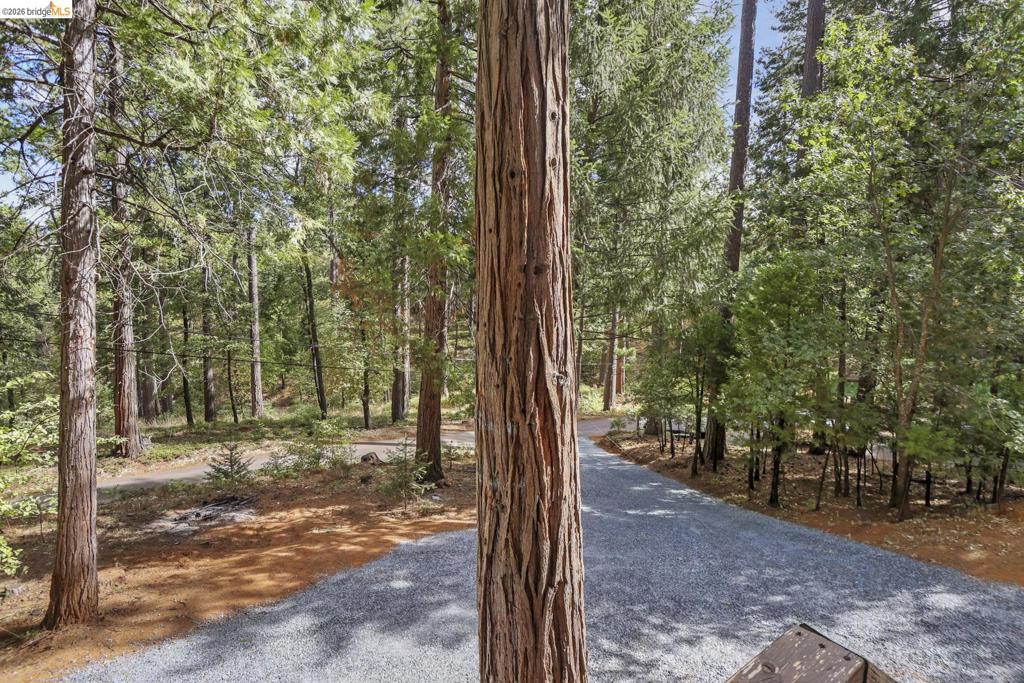 16680 Madrone Circle, Sonora, CA 95370