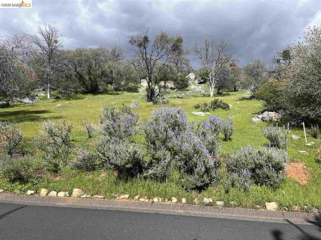 18351 Olov, Sonora, CA 95370