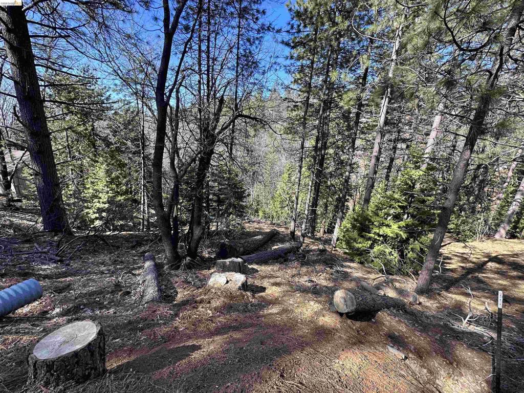 23956 Stable Rd, Sonora, CA 95370