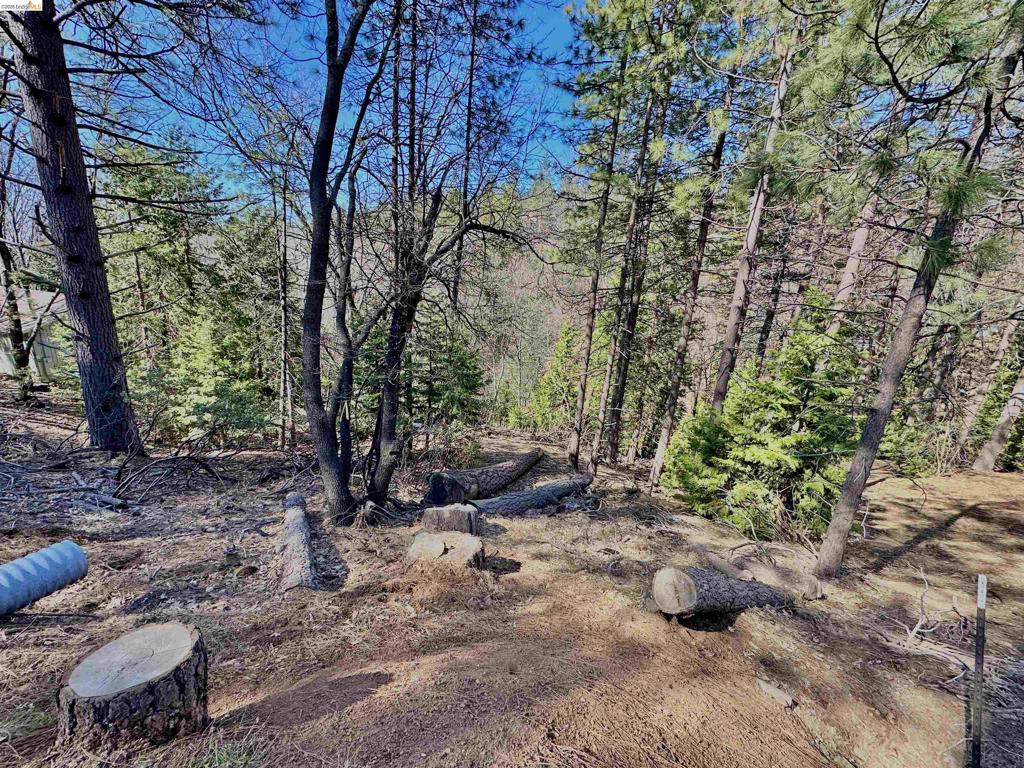 23956 Stable Rd, Sonora, CA 95370