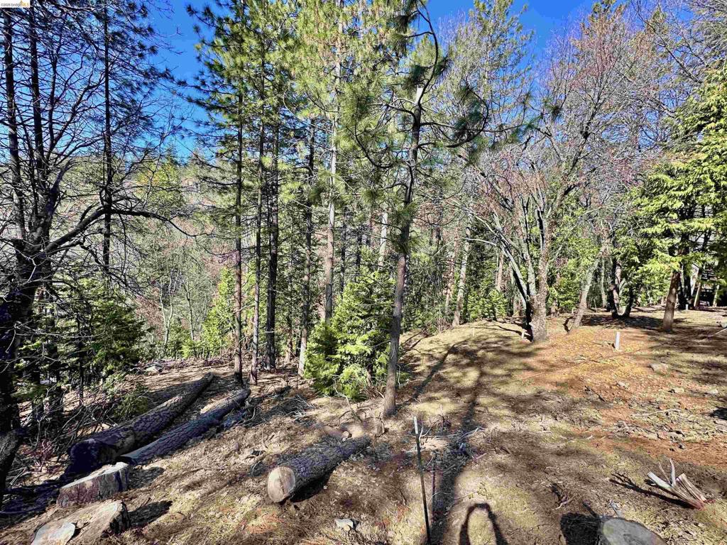 23956 Stable Rd, Sonora, CA 95370