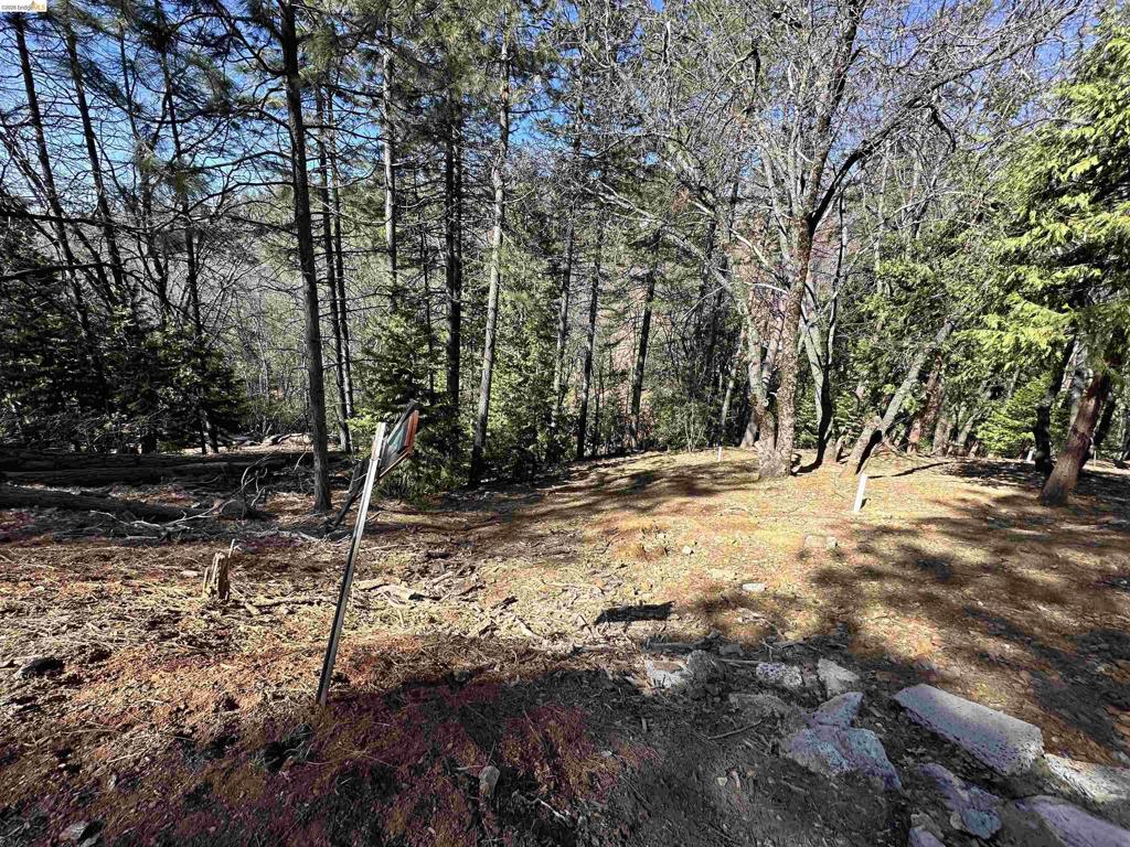 23956 Stable Rd, Sonora, CA 95370