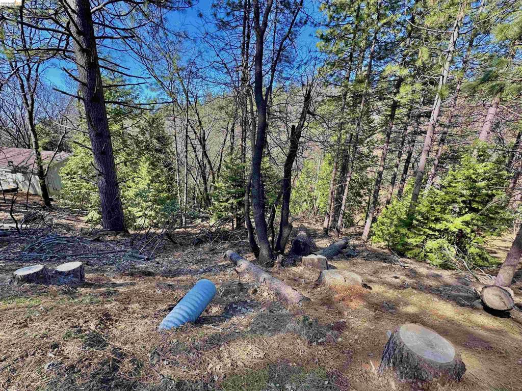 23956 Stable Rd, Sonora, CA 95370