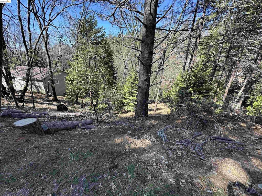 23956 Stable Rd, Sonora, CA 95370