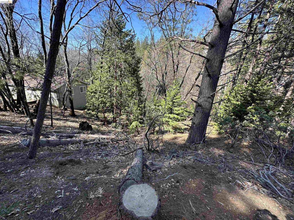 23956 Stable Rd, Sonora, CA 95370