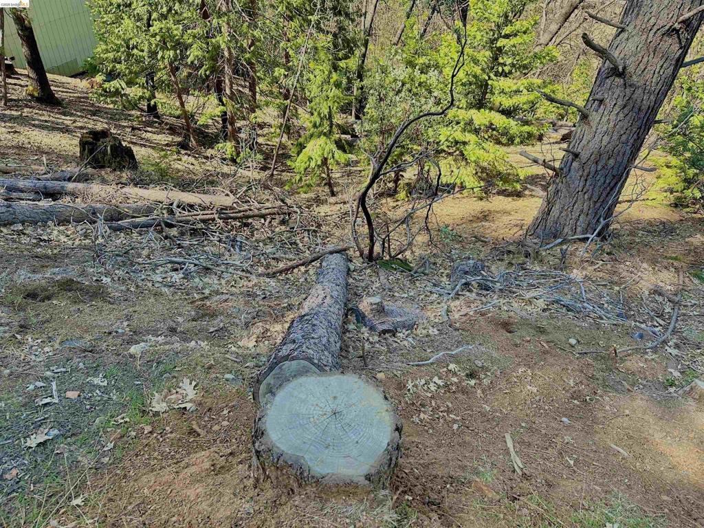 23956 Stable Rd, Sonora, CA 95370