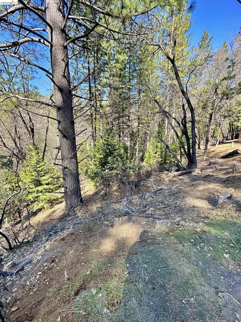 23956 Stable Rd, Sonora, CA 95370