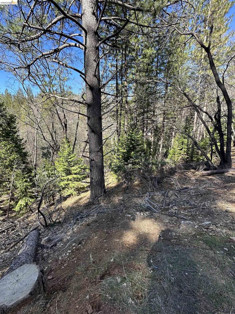 23956 Stable Rd, Sonora, CA 95370