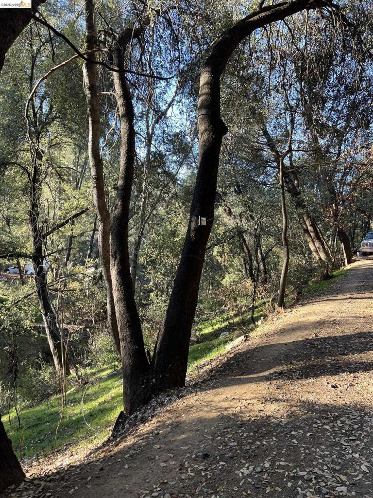 22550 Upper Quail Mine Rd, Sonora, CA 95370
