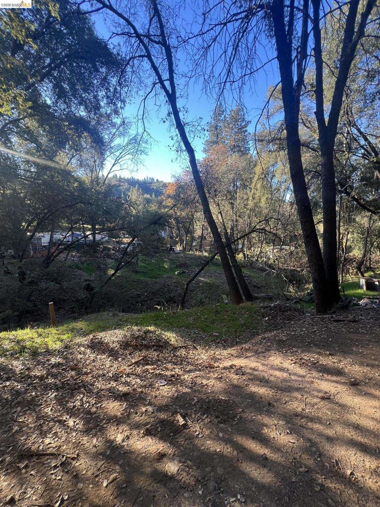 22550 Upper Quail Mine Rd, Sonora, CA 95370