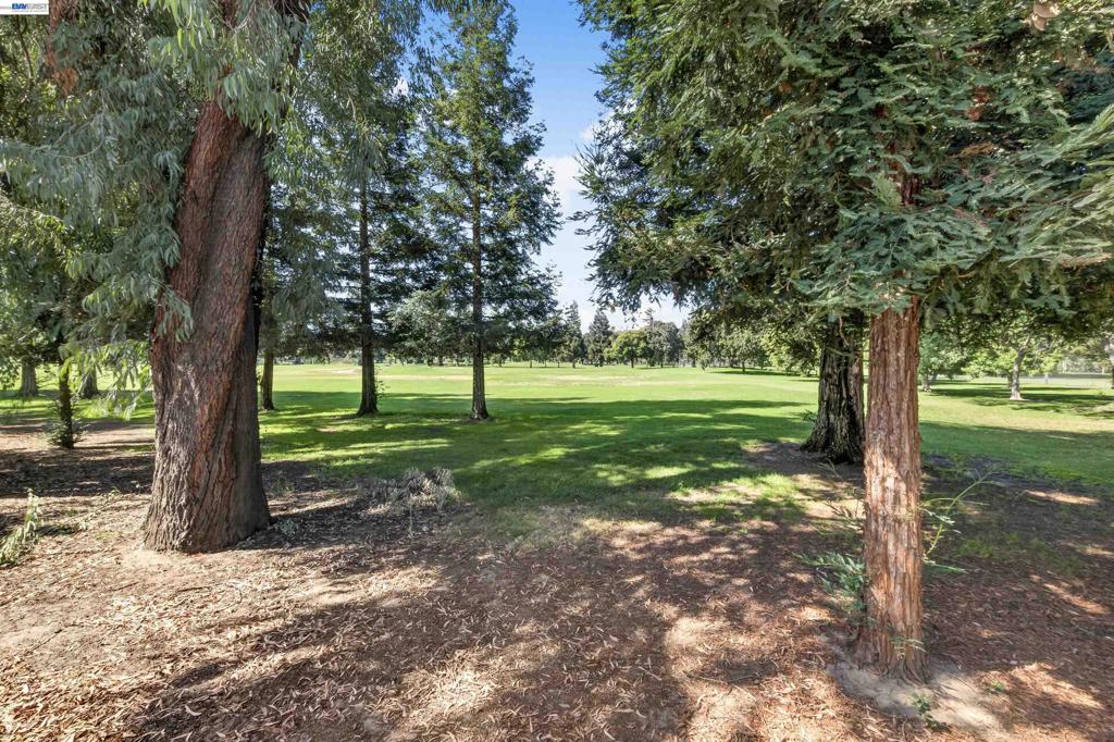 439 W Golf Circle, Manteca, CA 95337