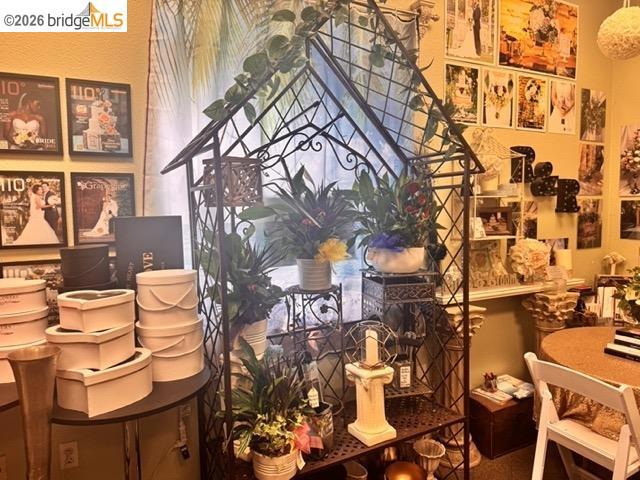 151 Chestnut, Brentwood (CC), CA 94513