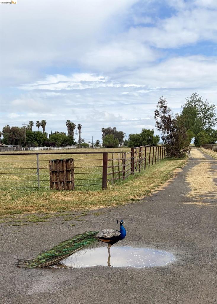 8500 Byron Hwy, Brentwood (CC), CA 94513
