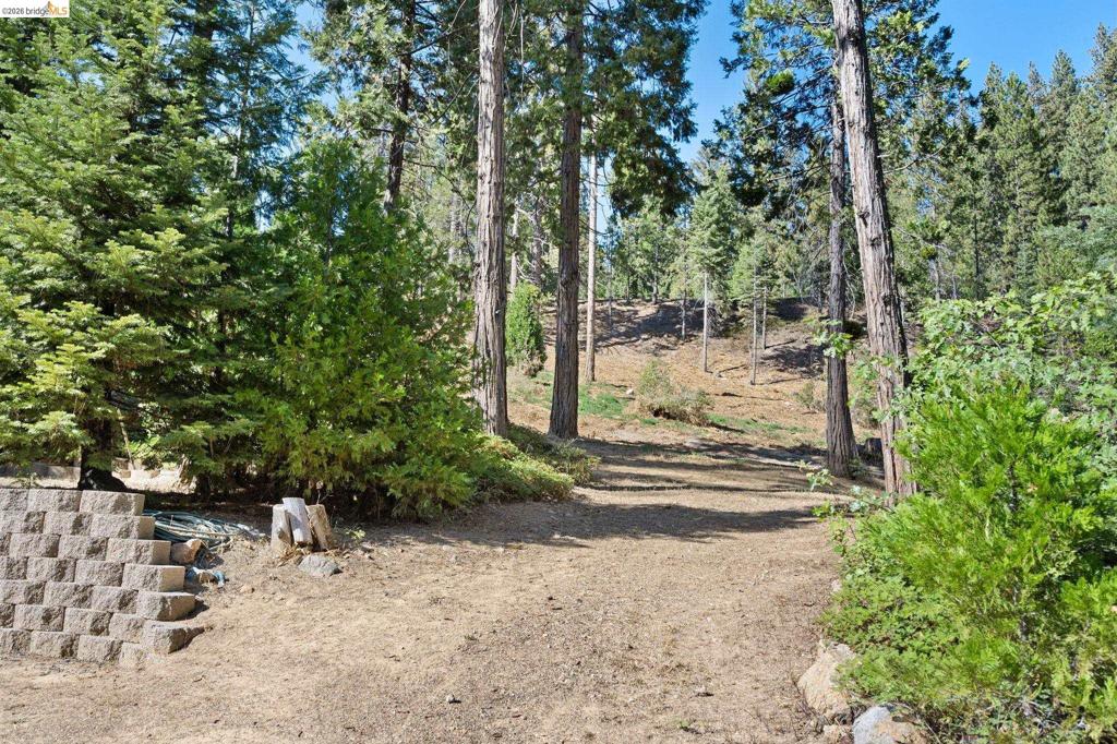25972 Long Barn Road, Long Barn, CA 95335