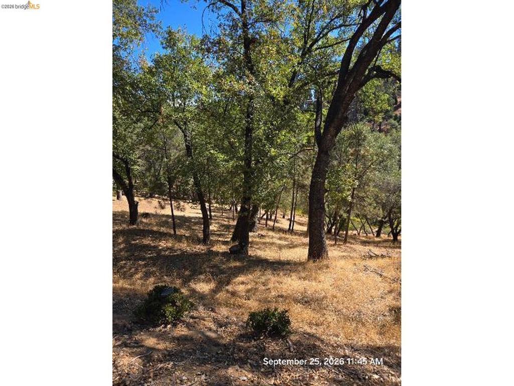 6 70 Cottonwood St., Groveland, CA 95321-0000