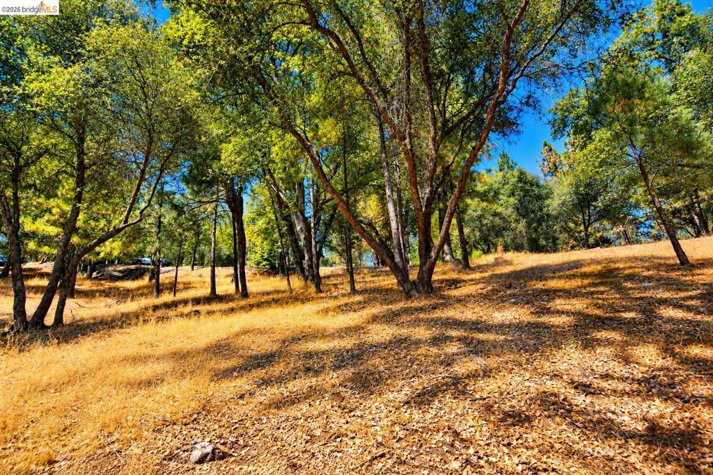 6 70 Cottonwood St., Groveland, CA 95321-0000