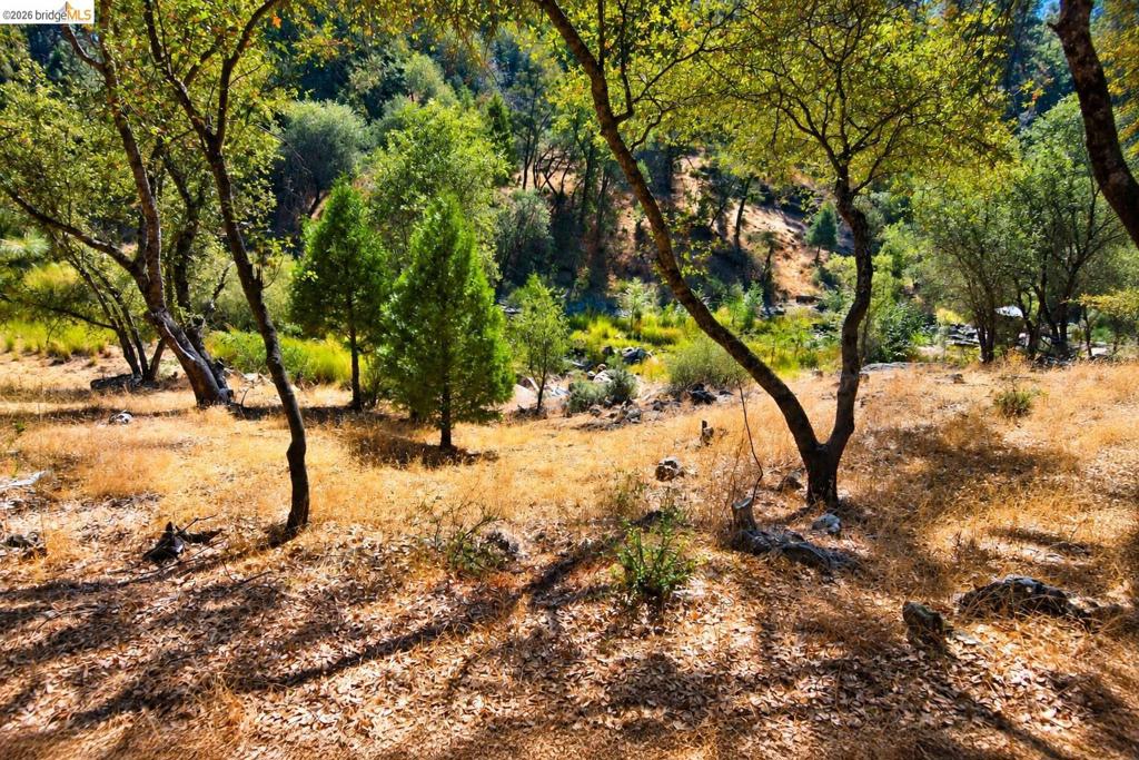 6 70 Cottonwood St., Groveland, CA 95321-0000