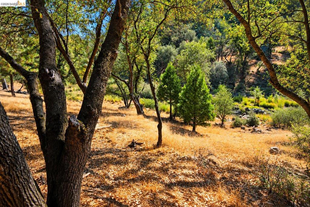 6 70 Cottonwood St., Groveland, CA 95321-0000