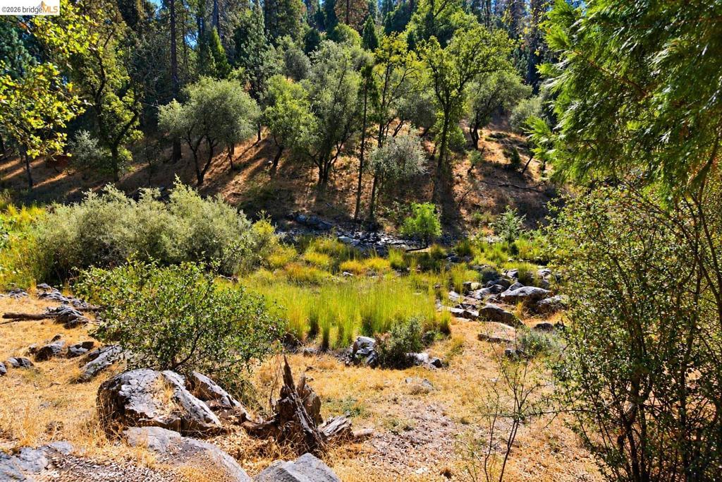 6 70 Cottonwood St., Groveland, CA 95321-0000