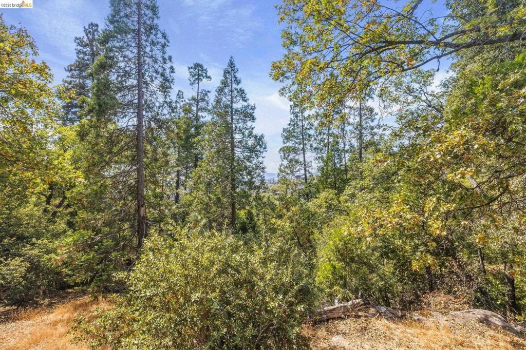 22420 Colorado River, Sonora, CA 95370