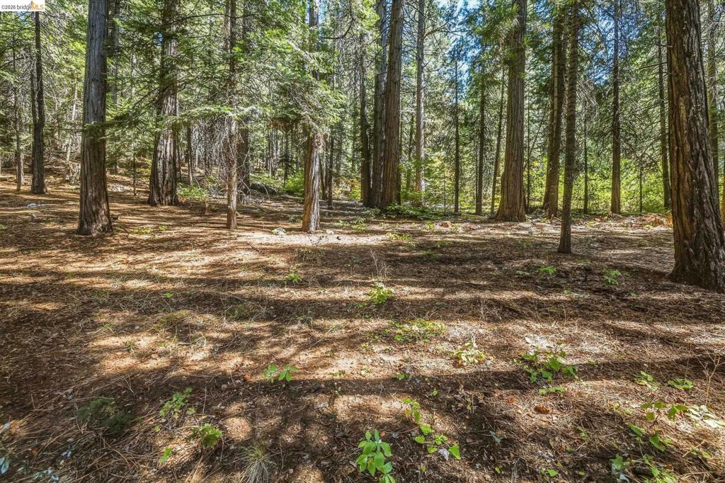 25749 Wheeler Rd, Long Barn, CA 95335
