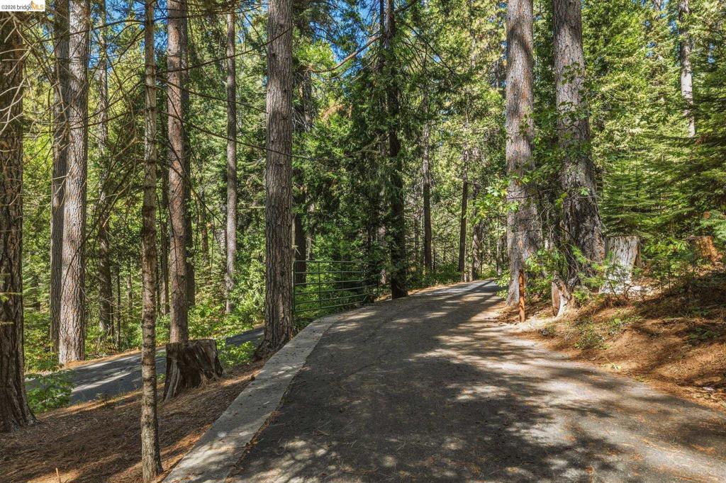 25749 Wheeler Rd, Long Barn, CA 95335