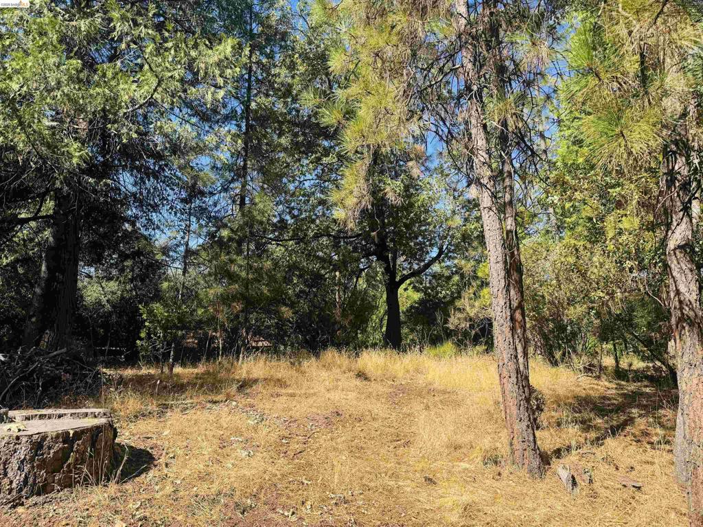 0 American River, Sonora, CA 95370