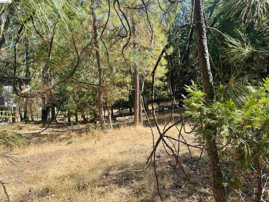 0 American River, Sonora, CA 95370