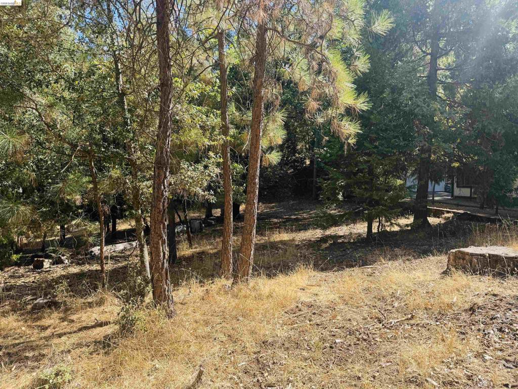 0 American River, Sonora, CA 95370