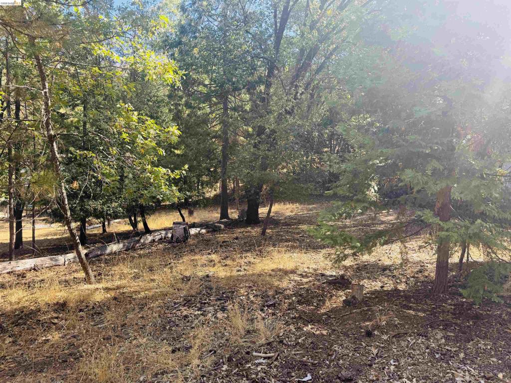 0 American River, Sonora, CA 95370