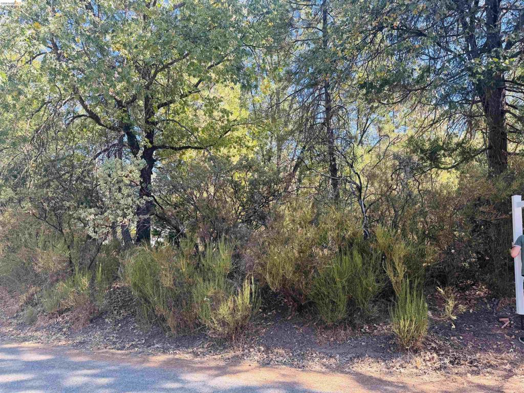 0 American River, Sonora, CA 95370